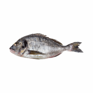 SEA BREAM