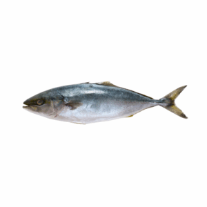 TUNA