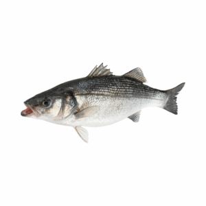 CHILEAN SEA BASS