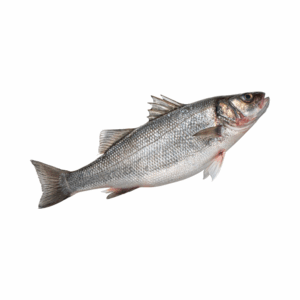 MEDITERRANEAN BASS