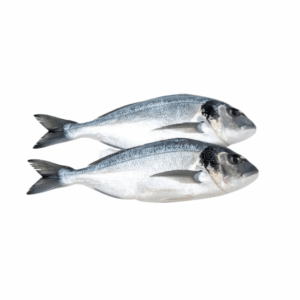 SEA BREAM