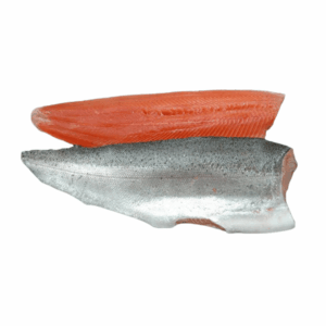 RAINBOW TROUT