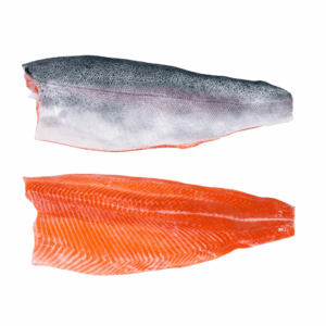 SALMON TROUT