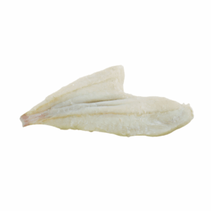 TURBOT