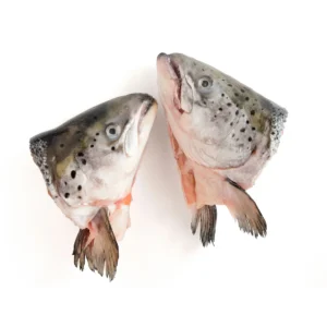 SALMON HEAD